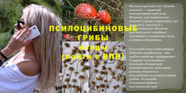 мдма Нея