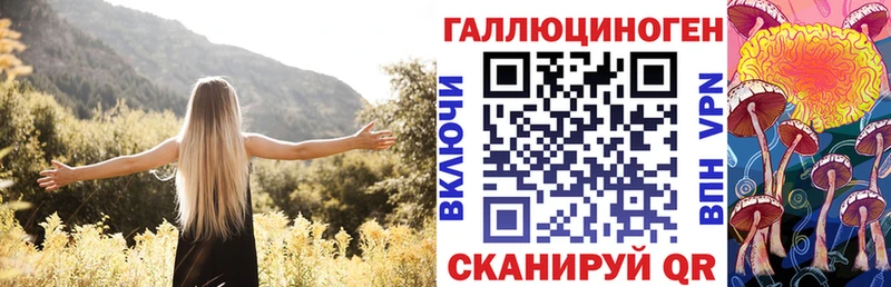 закладки Курчалой Галлюциногенные грибы GOLDEN TEACHER