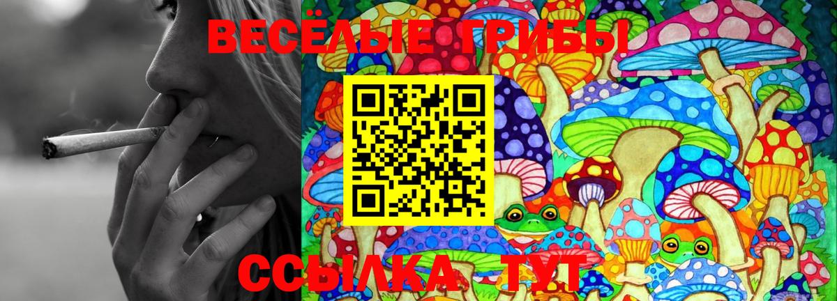 Галлюциногенные грибы Magic Shrooms Курчалой