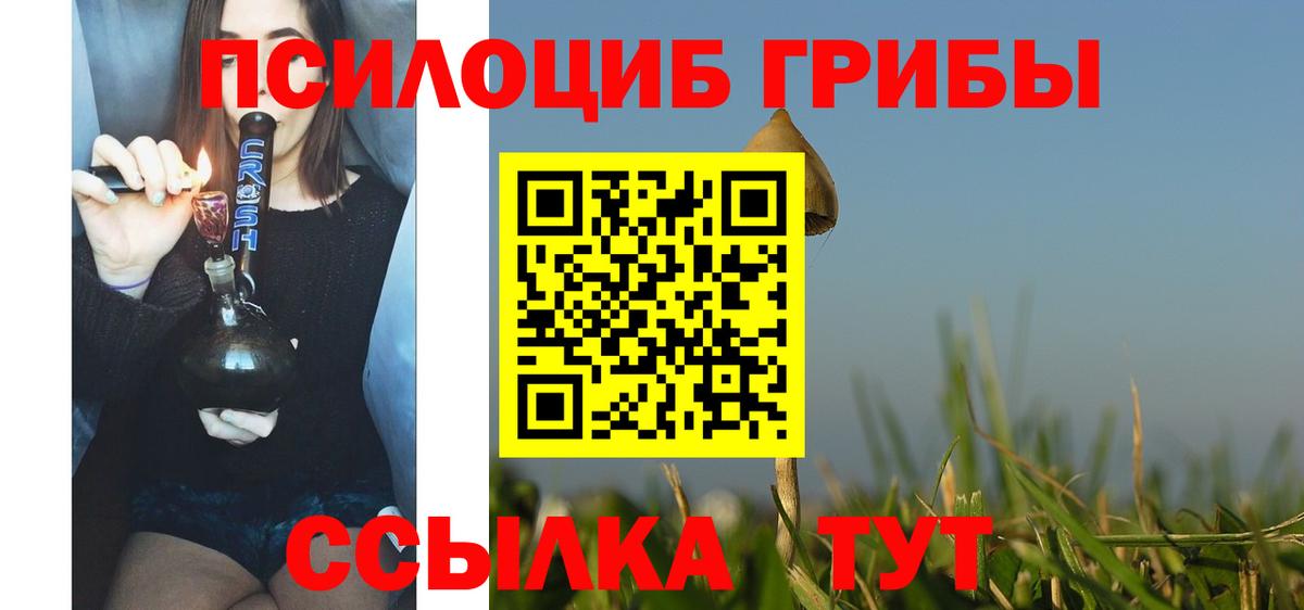 Псилоцибиновые грибы GOLDEN TEACHER  Вход с VPN  Псилоцибиновые грибы Cubensis  Курчалой 